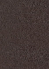 Legend Lx5026 Chocolate