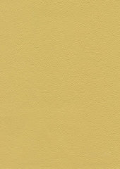 Legend Lx5027 Butter