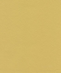 Legend Lx5027 Butter