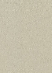 Legend Lx5029 Latte