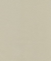 Legend Lx5029 Latte