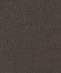 Legend Lx5040 Slate