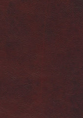 Levi Lx5012 Red Oak