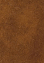 Levi Lx5014 Pecan