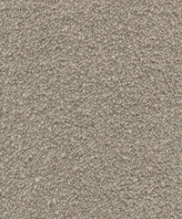 Loop 19053 Raw Sugar