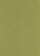 Lucy Micro Velvet 91319 Greenplay