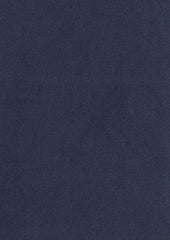 Lucy Micro Velvet 91303 Night