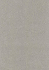 Lucy Micro Velvet 91301 Platinum
