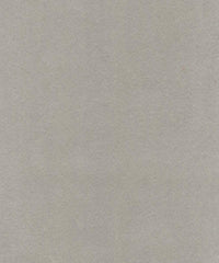 Lucy Micro Velvet 91301 Platinum