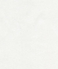 Lucy Micro Velvet 91316 Winter White