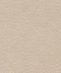 Manchester Wool 953245 Winter Wheat