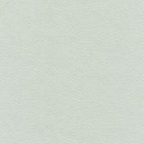 Manchester Wool 953336 Faded