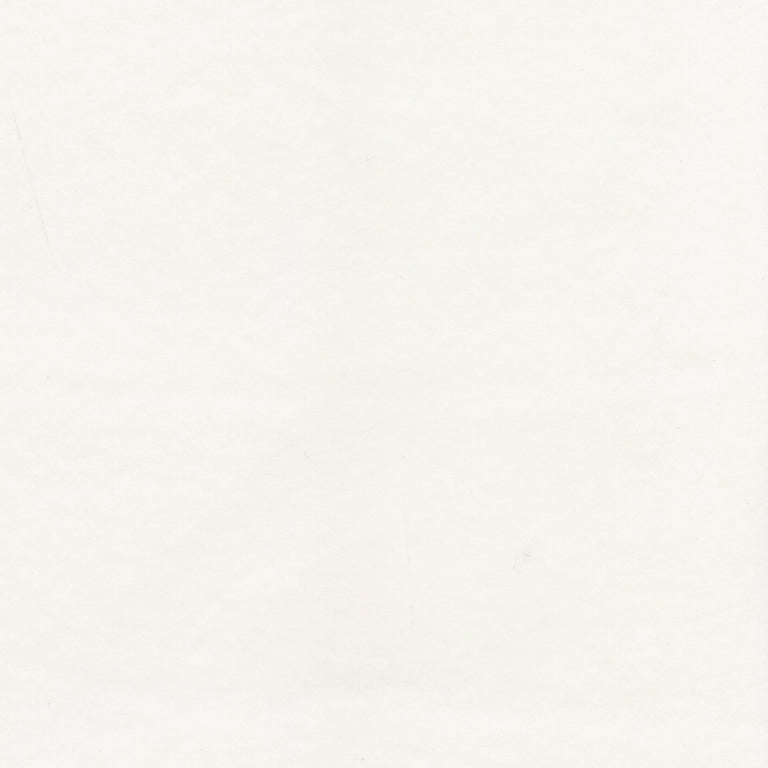 Marvel 221150 Coquille