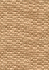 Mateo Yt0009 Wheat