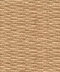 Mateo Yt0009 Wheat