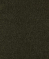 Myth 193513 Shire