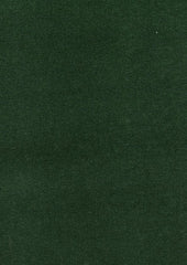 Napoli 664344 Forester