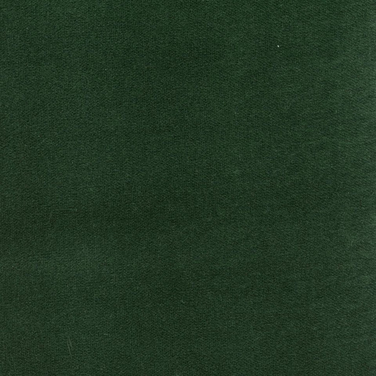 Napoli 664344 Forester