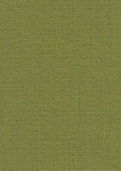 Noda Nod353 Moss