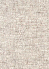 Orilla 219100 Seashell