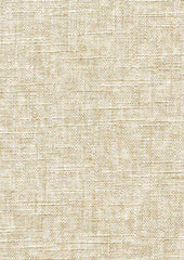 Orilla 219101 Beach