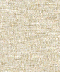 Orilla 219101 Beach