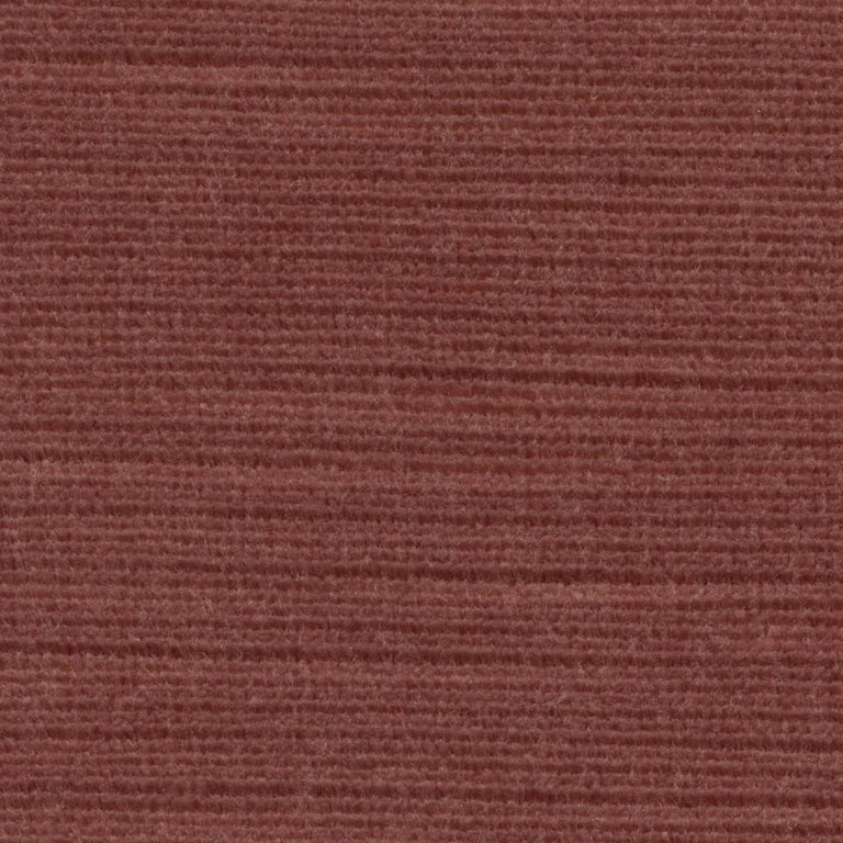 Panda 101411 Rare Earth