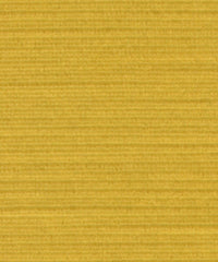 Panda 101418 Burst