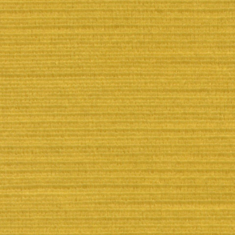 Panda 101418 Burst
