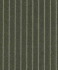 Parallel 193717 Shire