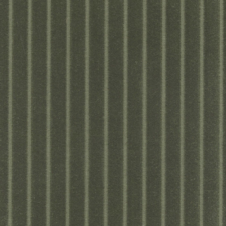 Parallel 193717 Shire