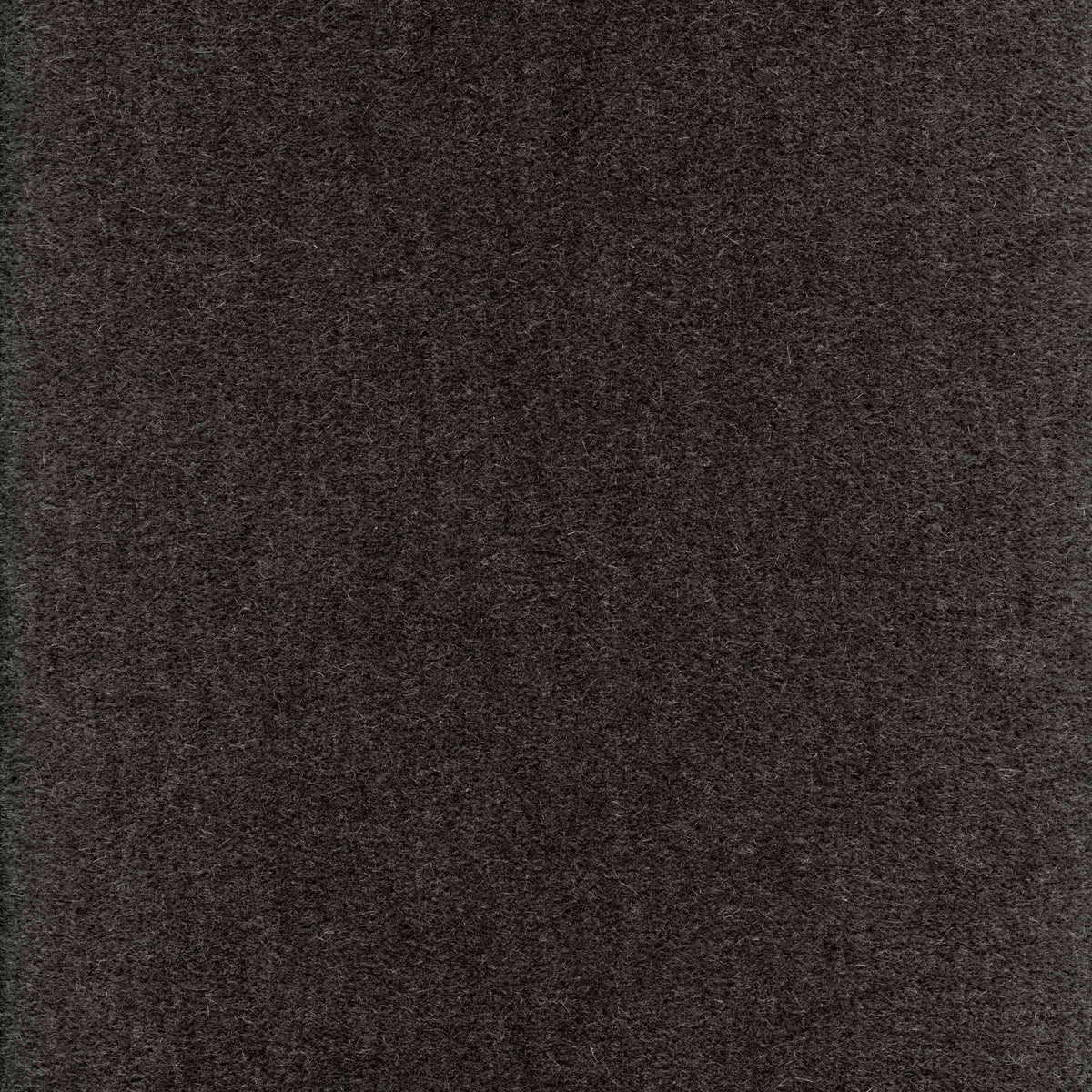 Plush Moh1974 Copley