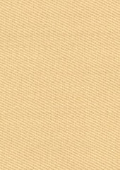 Preston Wool 75047 Champagne