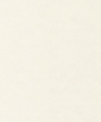 Preston Wool 75050 Blanco
