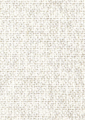 Quercus CUE10204 Arbor