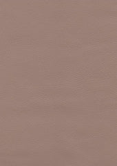 Regal Lx5139 Mica