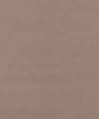 Regal Lx5139 Mica