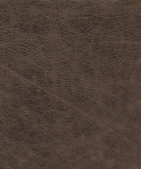 Rodeo Lx5043 Coffee Bean