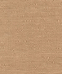 Rooney 194250 Skins