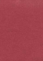 Rembrandt 598784 Rose
