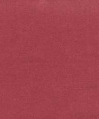 Rembrandt 598784 Rose