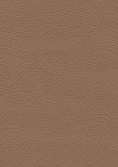 Roxbury Cl630 Taupe