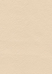 Roxbury Cl631 Putty