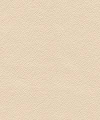 Roxbury Cl631 Putty