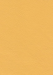 Roxbury Cl634 Canary