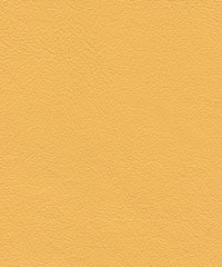 Roxbury Cl634 Canary