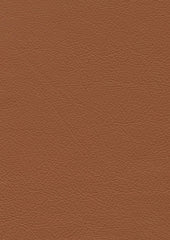 Roxbury Cl637 Camel Back