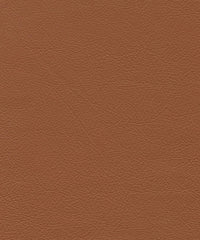 Roxbury Cl637 Camel Back
