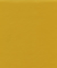 Ryder 206170 Mustard Spice