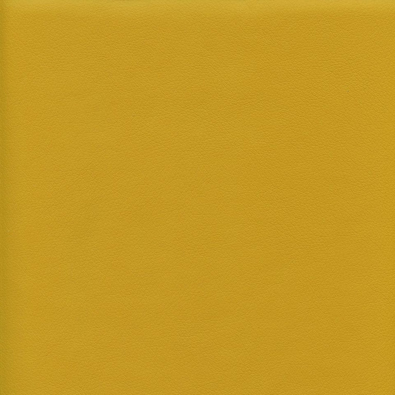 Ryder 206170 Mustard Spice